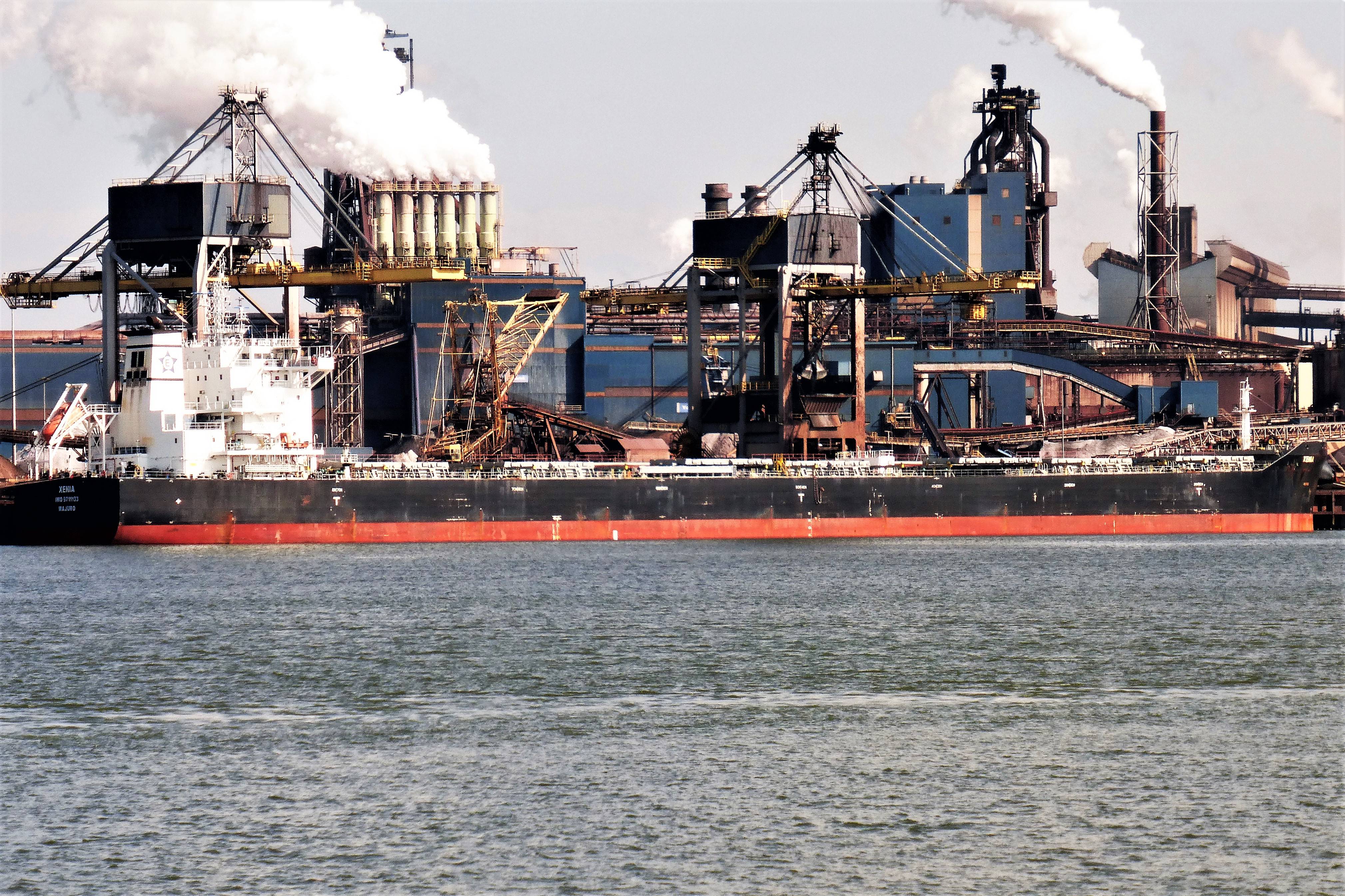 XENIA 
